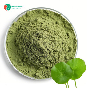 Herbspirit Duckweed Poudre 10:1 20:1 Duckweed Poudre d'extrait de protéine Duckweed Poudre de protéine - Product Image 2