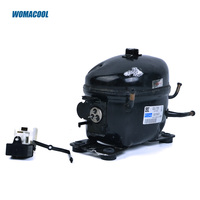 Réfrigération commerciale Zanussi Zel GDL175D 115V/60Hz R134a compresseur pour Mini réfrigérateur congélateur distributeur de bière compresseur
