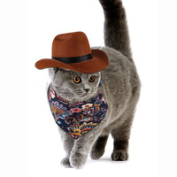 Mini-chapeaux de cowboy ajustables pour animaux de compagnie, déguisement amusant pour chien, idéal pour l'été, les fêtes ou Halloween