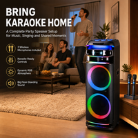 EN STOCK Enceinte de karaoké 12 pouces 100-300W avec tweeter 100W, deux microphones sans fil VHF et télécommande