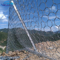 Système de protection passive de filet d'évitement de collision de bourdon de barrières de glissement de terrain à haute résistance