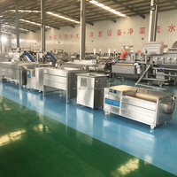 KLS Kleine Semi-automatische Aardappelchips & -stokjes Fabriek, 50-200kg/uur Goedkope Snackverwerkingsmachine