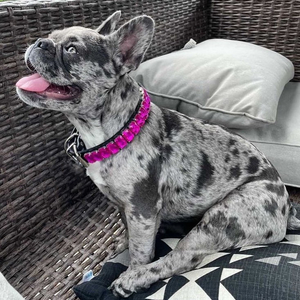 <span class=keywords><strong>Collar</strong></span> de perro de cuero de lujo personalizable con patrón sólido de diamantes de imitación de piedra de cristal ostentoso <span class=keywords><strong>Collar</strong></span> de Mascota de piedra de cristal personalizado - Product Image 6