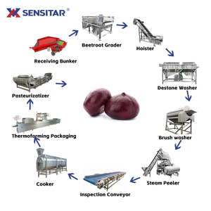 Línea de Procesamiento de Remolacha Cocida Lista para Consumir con Certificación CE/Línea de Producción de Remolacha Preparada Totalmente Automática SUS304 - Product Image 3