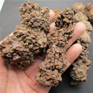 Venta al por mayor de heces de dinosaurio fósil curación cristal dinosaurio heces piedra para la venta - Product Image 1