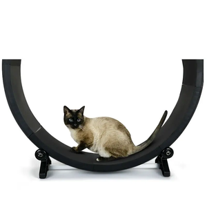 犬用家庭用トレーニング用サイレントランニングホイールEVAトレッドミル付きインタラクティブ猫登山フレーム - Product Image 4