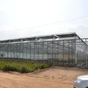 commercial venlo greenhouse garden used glass greenhouse cost for sale