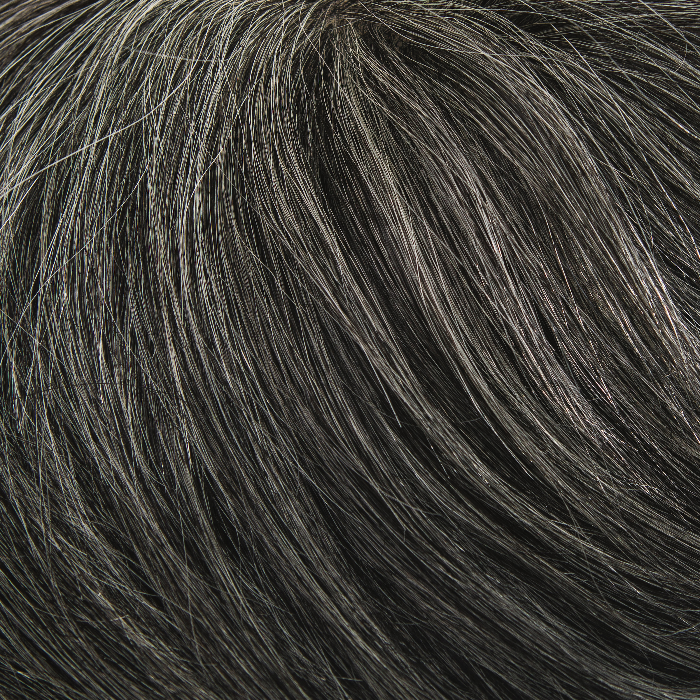 BLANC Gris