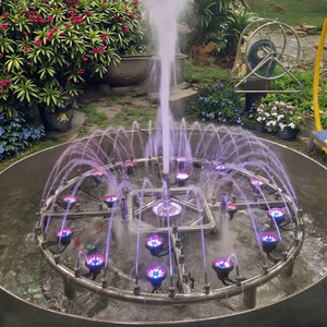 Di alta qualità piccola danza musicale fontane di acqua inossidabile di controllo di musica moderna per il parco all'aperto giardino Hotel decorativo
