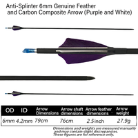 Flèches en carbone anti-crevaison True Feather Mix, conçues avec précision pour l'entraînement et la chasse, flèches pour arcs à poulies et arcs classiques