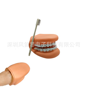แบบจำลองฟันสีชมพูและสีผิว สำหรับการสอนและการฝึกอบรม - Product Image 5
