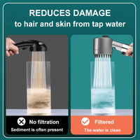 Pommeau de Douche Luxe Moderne à Effet Pluie Haute Pression Filtrant en ABS avec Brosse de Massage et Douchette Amovible pour Salle de Bain