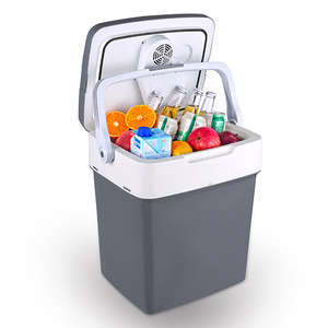 Hot selling 28L camping picnic electric portable mini plastic ice cream warmer cooler box