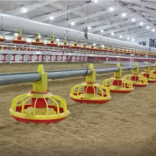 Büyük ölçekli fowl kanatlı katmanlı damızlık broiler zemin kafes tarım yetiştirme ekipmanları sistem yönetimi için tavuk çiftlik operasyon