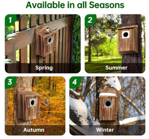 Grande maison d'oiseau en bois de qualité supérieure de style de luxe pour l'extérieur et l'intérieur Motif solide pour les chalets de jardin - Product Image 6