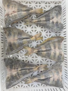 Filete de Atún <span class=keywords><strong>Atka</strong></span> Congelado, Pescado de Primera Calidad - Product Image 4