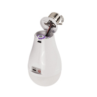Ampoule LED rechargeable 2 en 1, lumière blanche chaude, pour usage au bureau