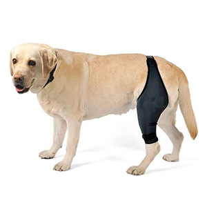 Dog Leg Support Brace Hind Leg Protection Sleeve For Dogs Joint Injury Recovery Basic Protection Size Xs - Product Image 3