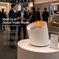 Chimenea de Bioetanol de Lujo para Interiores, Independiente, de Diseño, con Llama Real, Quemador de Combustible de 5L, para Decoración de Villas y Hoteles
