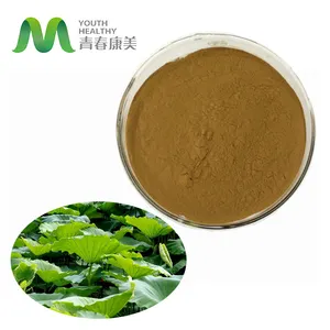 Hot Selling Lotus Leaf Alkali Extract Powder 5% Flovonoid