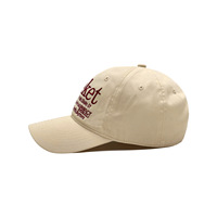 Gorra de Béisbol Personalizada al por Mayor, 100% Algodón, Estilo Vintage, Desgastada, Retro Y2K, Logotipo Bordado en 3D, Color Marrón, Ajustable, Unisex