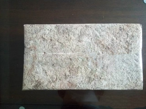 Cao cấp sphagnum rêu chất lượng cao cho phong lan ăn thịt cây - Product Image 6