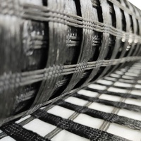 Geogrid de Poliéster de Alta Resistencia a la Rotura, Tejido por Urdimbre, para Refuerzo de Muros de Contención y Pilares de Puentes