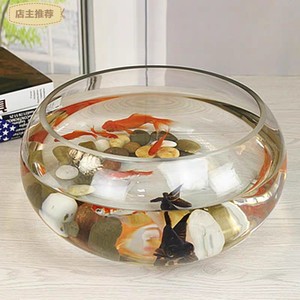 Aquarium en verre multi-usages, <span class=keywords><strong>vase</strong></span> hydroponique rond, aquarium de bureau créatif pour betta, tortue, poisson rouge, décoration de bureau, salon - Product Image 4