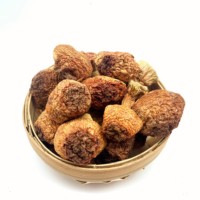 3,5 Oz zakje / Goodex Royal Sun Blazei Paddenstoelenextract Poeder 30% Beta D Glucan Vloeibaar-Vast Extract Voedingsmiddel Vacuüm verpakt Blik