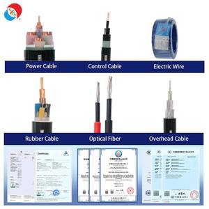 Vente directe d'usine XLPE fil électrique isolé BVR/BV Apure câble Flexible en cuivre Type de conducteur à brin unique - Product Image 6