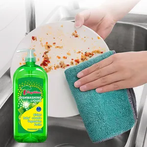 Rayshine Custom Degreasing Dishwashing Liquid For Baby's Bottle Vegetables Fruits 500g