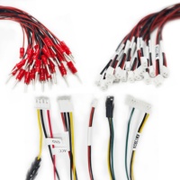 Connettore Mini-Fit PH XH ZH SH Cablaggio Elettronico Personalizzato per Settore Industriale e Automobilistico
