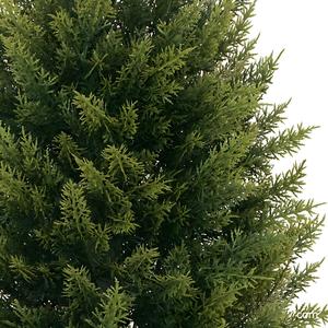 Decoración de boda, árboles de ciprés artificiales, ciprés <span class=keywords><strong>italiano</strong></span> artificial, plantas artificiales redondas resistentes para interiores y exteriores, maceta de metal. - Product Image 5