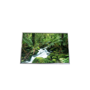 Panel LCD B154PW01 V0 262K de 15.4 pulgadas, módulo de pantalla LCD TFT de 1440*900 - Product Image 1