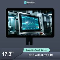 Pantalla Táctil PCAP de 17.3 Pulgadas con Triple Interfaz USB I2C RS232, Chip ILITEK2511 para Monitor Industrial, Fábrica Qudee