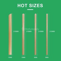 Populaire en Europe et en Amérique, pailles à boire en bagasse de canne à sucre compostables sans PLA, biodégradables, 6 mm, 8 mm, 12 mm