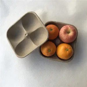 แม่พิมพ์ถาดเยื่อแอปเปิ้ลถาดผลไม้กระดาษเป็นมิตรกับสิ่งแวดล้อม