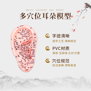 Modelo de oreja de goma de silicona Cloud & Dragon para terapia de acupuntura modelo de oreja china con puntos auriculares - Product Image 2