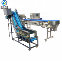 Hoogprecisie kippenweegschaal sorteermachine automatische pluimvee weegsorteerder voor slachtlijn