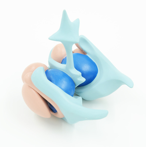 GelsonLab HSBM-472 Mới Bộ Não Con Người Cơ Bản Hạt Nhân Mô Hình - Product Image 1