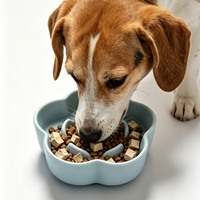Mangkuk Makan Keramik untuk Anjing, Anti Cegukan, Food Grade, Anti Kembung, Aman untuk Mesin Cuci Piring, Mangkuk Makan Maze