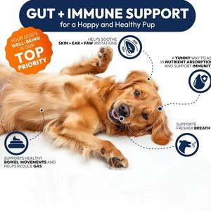 Complément alimentaire probiotique pour chiens et chats, enregistré par la FDA, pour soutenir la santé digestive des animaux de compagnie, complément alimentaire probiotique à mâcher - Product Image 2