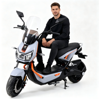 Vélo électrique urbain 48V 1000W avec écran LCD, antivol électronique, freins à tambour avant et arrière pour les trajets quotidiens des adultes