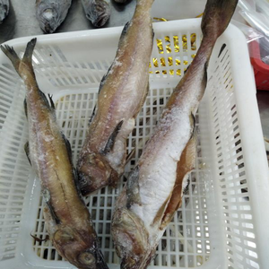 Fruits de mer Nourriture Délicieux Sain Half Dried <span class=keywords><strong>Alaska</strong></span> Pollack - Product Image 5