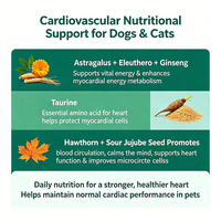 Complément cardiaque pour animaux de compagnie : Comprimés de Taurine et de Ginseng pour chiens et chats seniors – Soutien cardiovasculaire et nutrition myocardeuse (OEM)