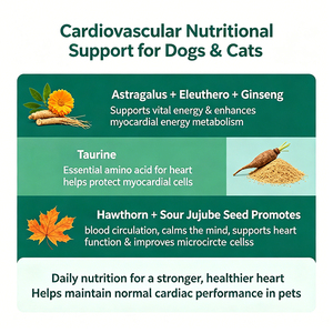 Integratore per il Cuore degli Animali Domestici per il Supporto Cardiovascolare, Compresse di Taurina e Ginseng per Cani e Gatti Anziani, Nutrizione del Miocardio OEM - Product Image 2