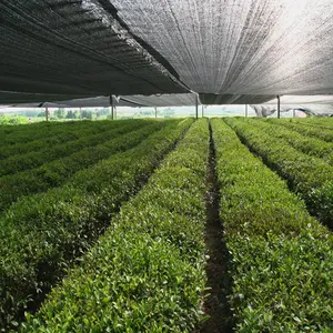 สีเบจสีเขียวการเกษตรสุทธิ/Sun Shade สุทธิตาข่ายพลาสติกสุทธิสำหรับ Shade HDPE ถัก40% 50% 80% 95%