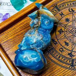 Kristalle Großhandel Bulk hand geschnitzte blaue Onyx Eule Kristall Tiere Gebote mit Schädeln Edelstein Souvenirs