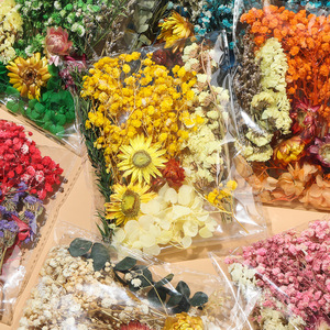 <span class=keywords><strong>Fleurs</strong></span> séchées naturelles, couleurs mélangées, feuilles séchées pour l'artisanat DIY, bougies, bijoux en résine, pendentifs pour ongles, cartes, mariage - Product Image 3