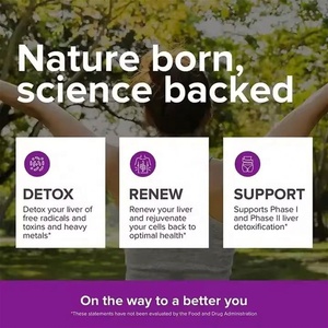 Cápsulas OEM Personalizadas para la Protección del Hígado, Desintoxicación Hepática, 4 Plantas, Vitaminas, Cardo Mariano, Diente de León, Suplemento para Limpiar y Desintoxicar el Hígado - Product Image 4